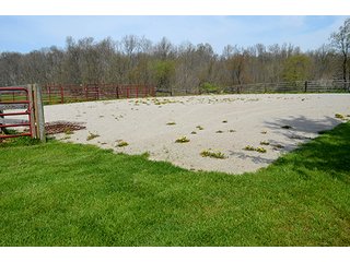 Property photo 90 - REAL ESTATE & PERSONAL PROPERTY AUCTION - 23.5+/- ACRES OFFERED IN 3 TRACTS OR COMBINATIONS IN EAST ALLEN COUNTY